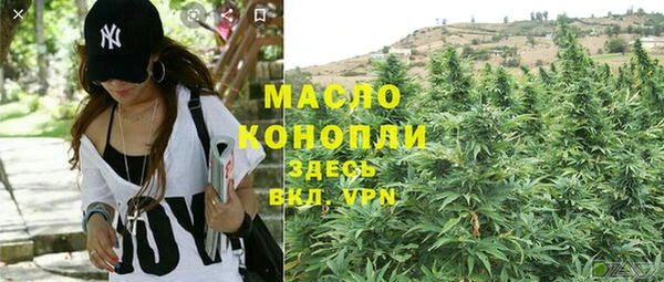 дживик Заводоуковск