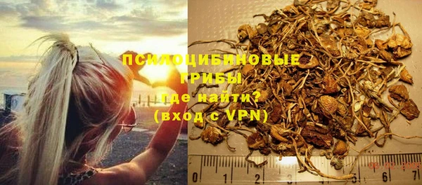 дживик Заводоуковск