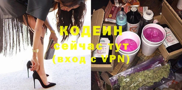 дживик Заводоуковск