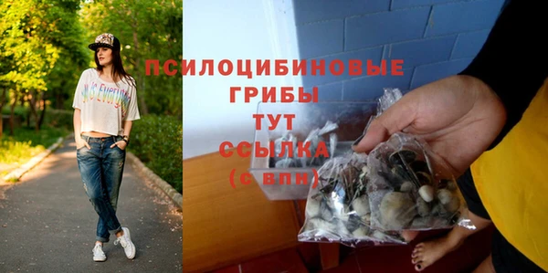 дживик Заводоуковск