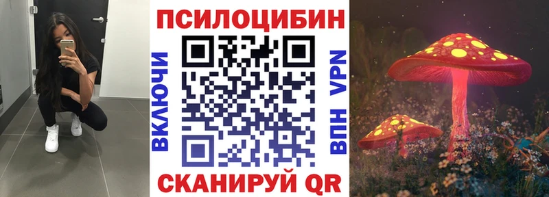 Купить закладки  Лахденпохья  Галлюциногенные грибы мухоморы 